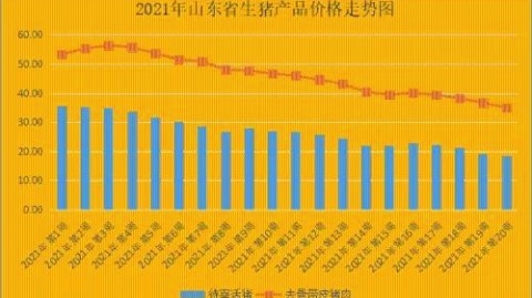 东北虎主场吞下苦果，山东大汉这波“逆风翻盘”看得人心脏受不了！