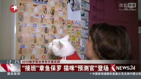 章鱼保罗之后，谁在接管世界杯的动物预言