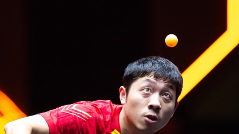 WTT澳门赛惊天逆转：许昕险胜卡尔德拉诺，艺术乒乓绽放澳门